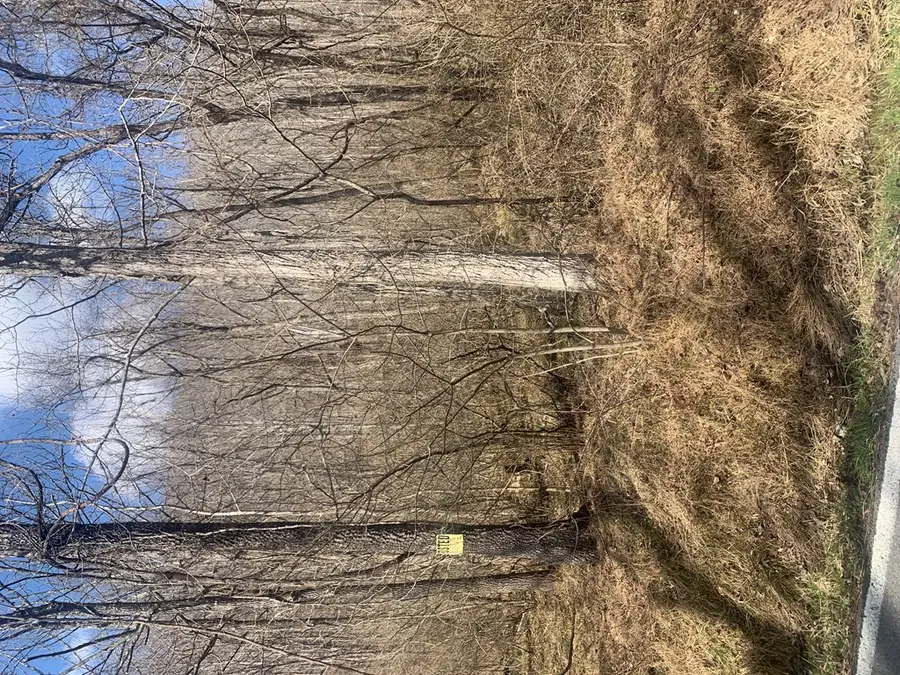 Address Withheld By Seller, Sunbright, TN 37852 - Image #3