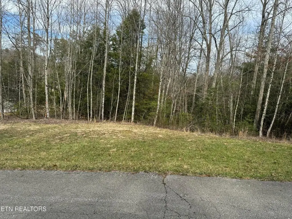 Lot 12 Ferry Bend Trail, Crossville, TN 38571 - #1