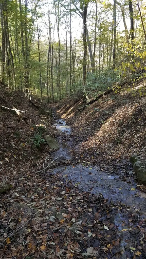 87C Mallard Rd, Hilham, TN 38568 - #3