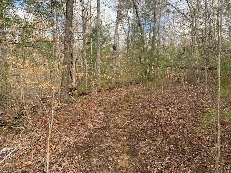 Lot 4 &5 Peaceful Lane, Spencer, TN 38585 - Image #2