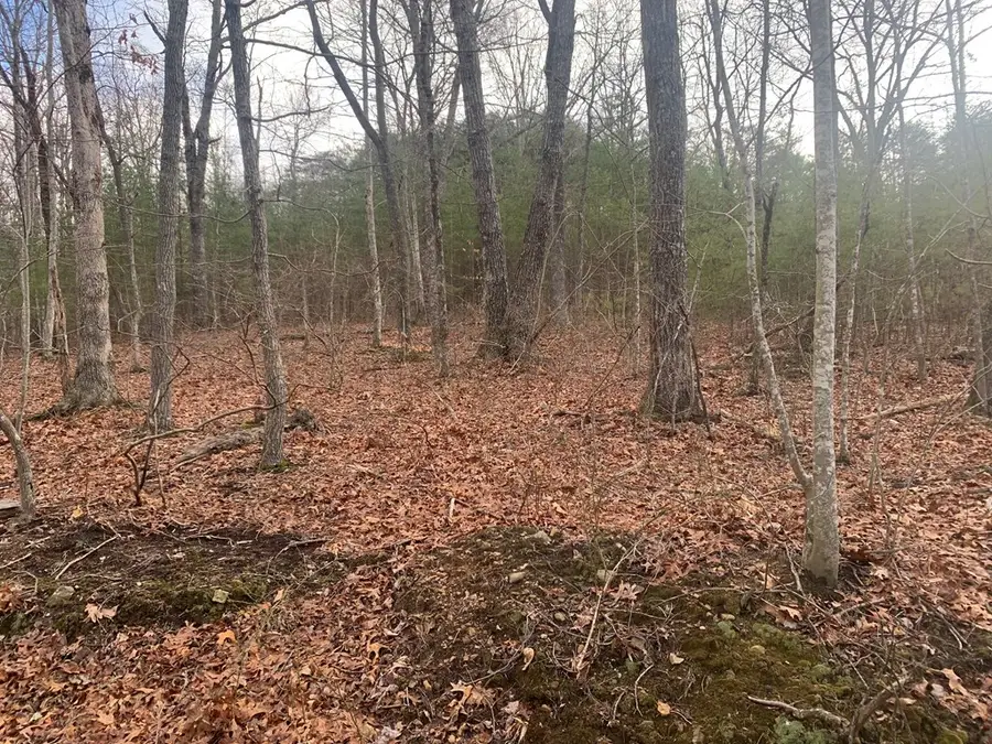 Lot 4 &5 Peaceful Lane, Spencer, TN 38585 - Image #3