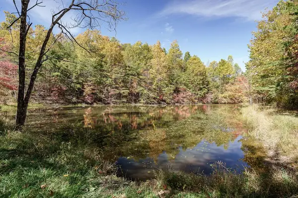 8.13 ac Harris Road, MONTEREY, TN 38574