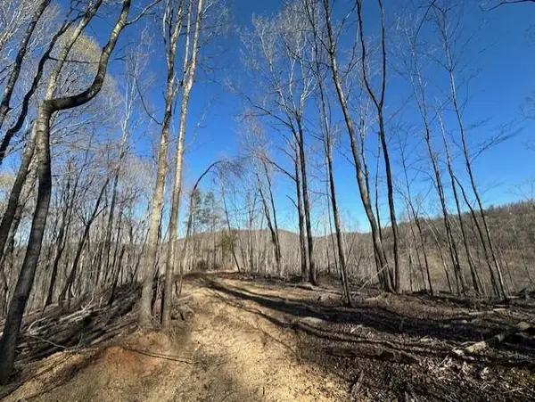 00 Garrett Lane, ALLONS, TN 38541