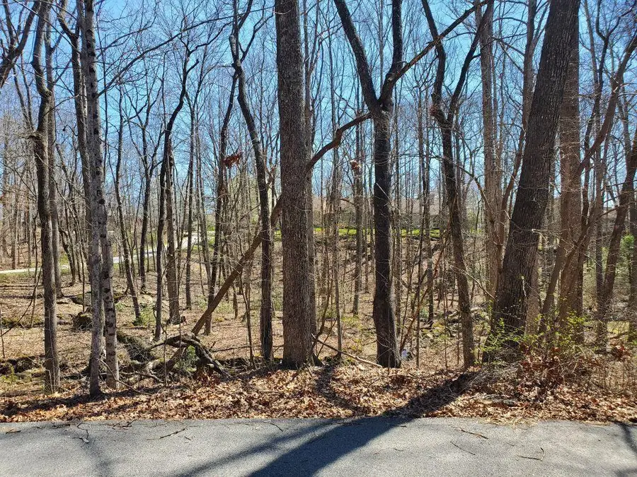 127 Baltusrol Road, Crossville, TN 38558 - Image #2