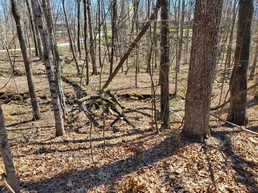 127 Baltusrol Road, Crossville, TN 38558 - Image #3