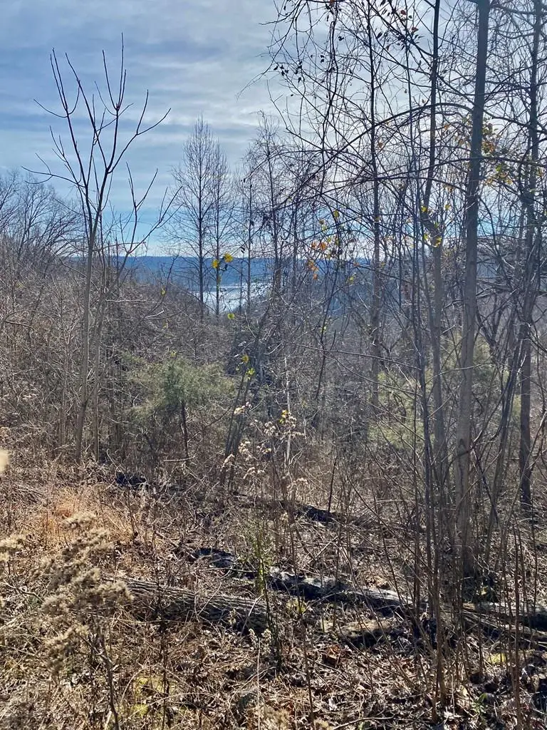 Lot 114 Harbor Pointe Dr, Silver Point, TN 38582 - Image #1