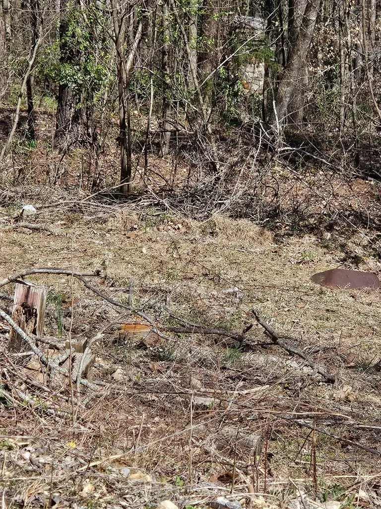 182 Mayberry Drive, Smithville, TN 37166 - Image #1