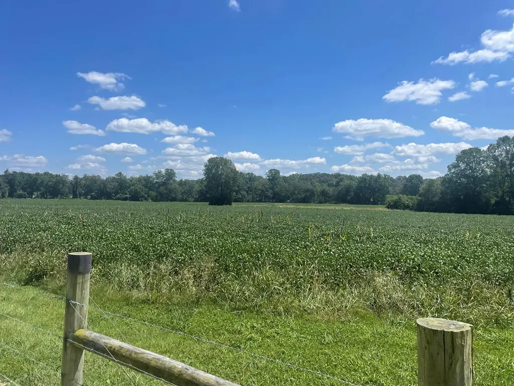 25 ac Ditty Road, Cookeville, TN 38506 - Image #1