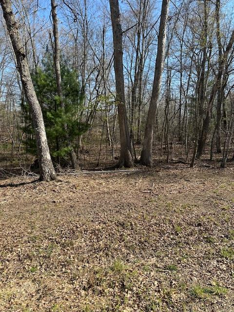 3123 Crow Drive, CROSSVILLE, TN 38572