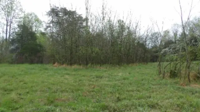 20.27 Denton Rd, Moss, TN 38575 - Image #1