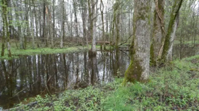 20.27 Denton Rd, Moss, TN 38575 - Image #2