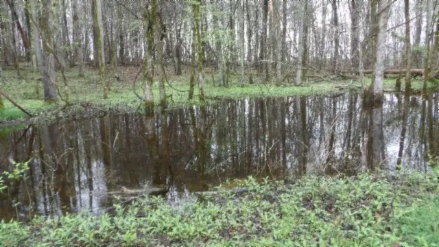 20.27 Denton Rd, Moss, TN 38575 - Image #3