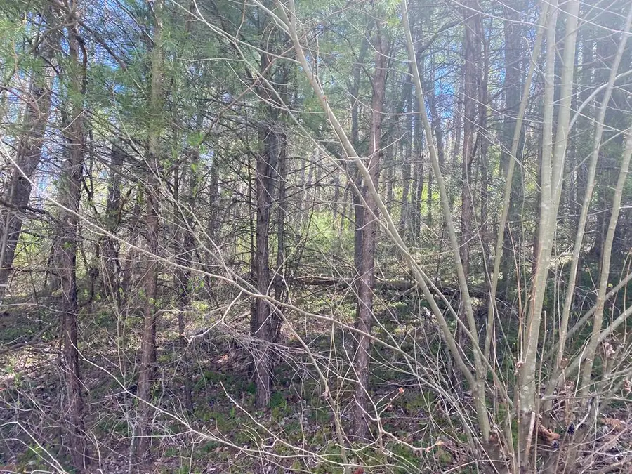 Lot 33 Norris Rd, Butler, TN 37640 - Image #3