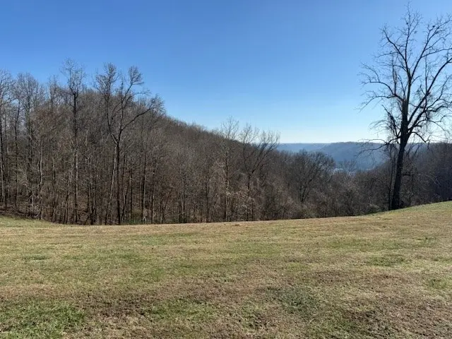 00 Smithville Hwy 5.01 Acs, Silver Point, TN 38582 - Image #3