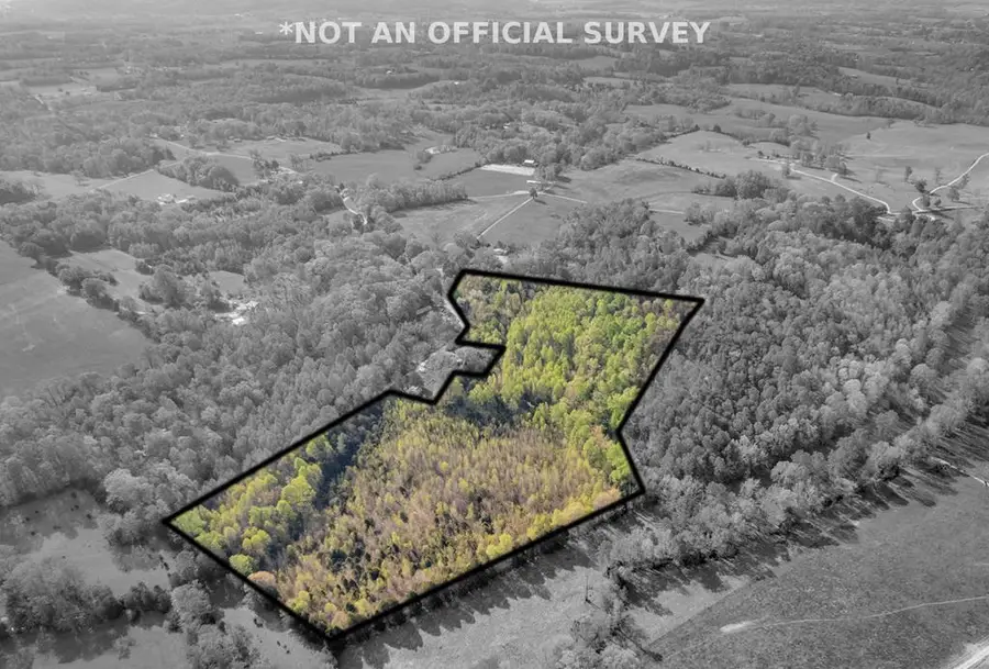 346 NW Sam Golden Road, Sparta, TN 38583 - #2