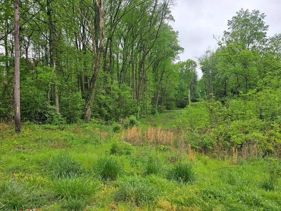 3447 Shenandoah, Cookeville, TN 38506 - Image #3