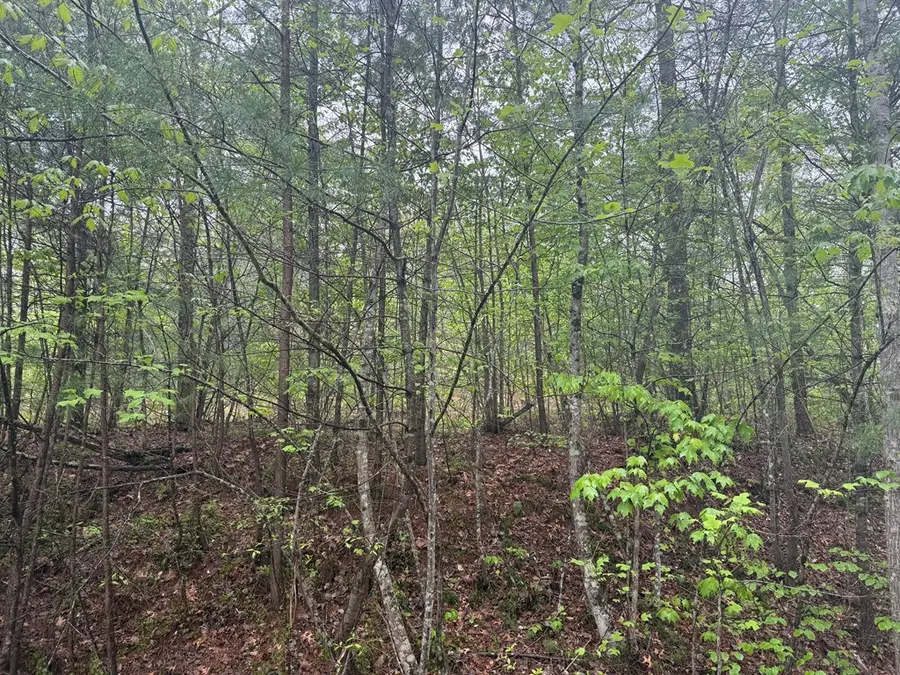 0 Muddy Branch Rd, Crossville, TN 38571 - #3