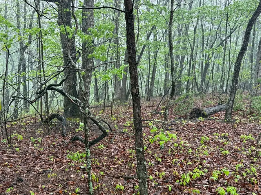 0 Tower Pl, Monterey, TN 38574 - Image #2