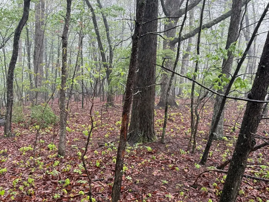 0 Tower Pl, Monterey, TN 38574 - Image #3