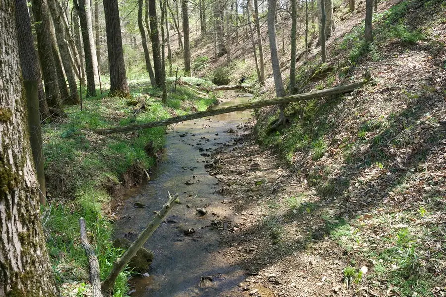 29AC Boyd Creek Rd, Sparta, TN 38583 - Image #3