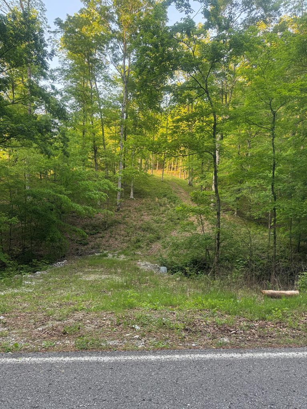 6.96 Star Point Road, Byrdstown, TN 38549