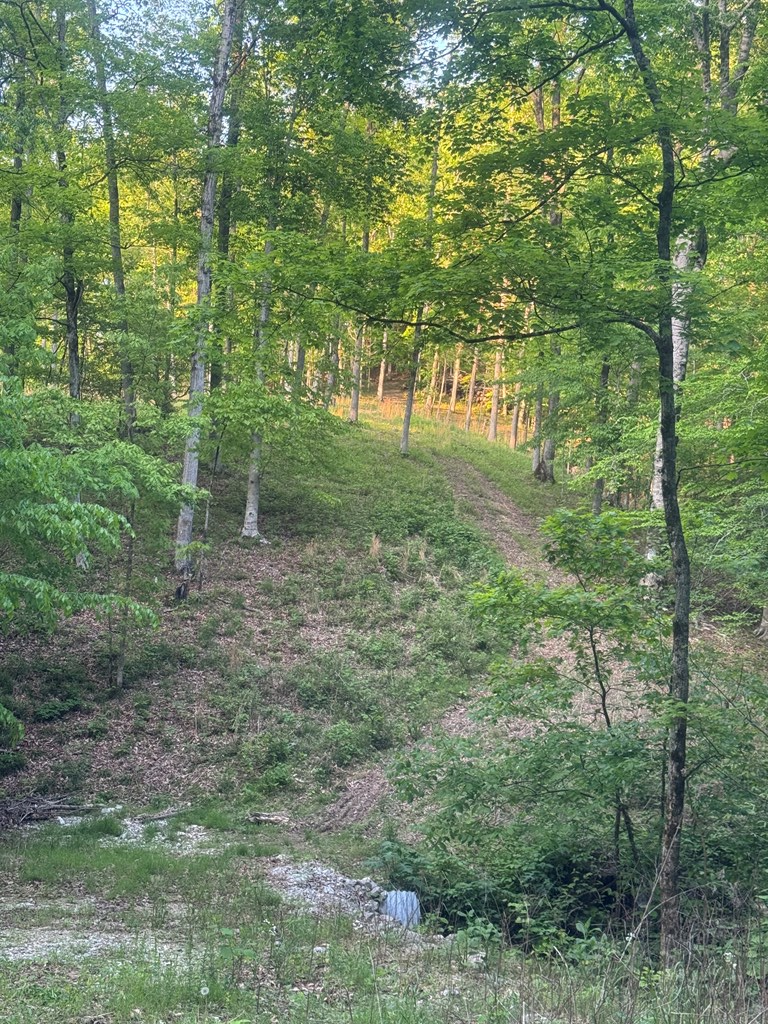 6.96 Star Point Road, Byrdstown, TN 38549 - Image #2