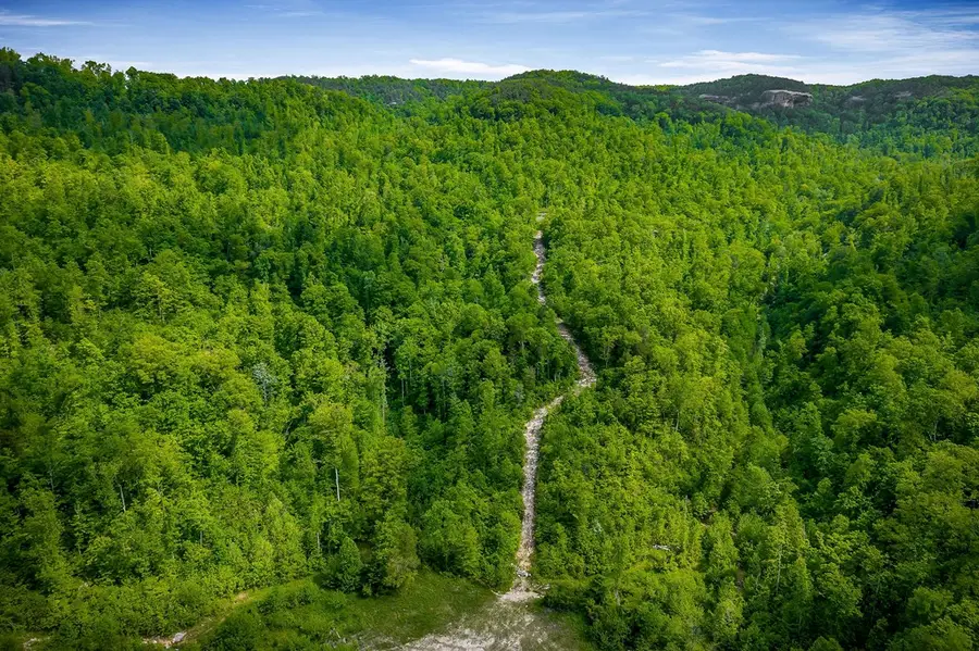 1687 Delk Creek Rd, Pall Mall, TN 38577 - Image #2