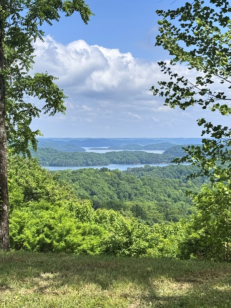 Lot 026C Rockfish Rd, Hilham, TN 38551 - Image #2