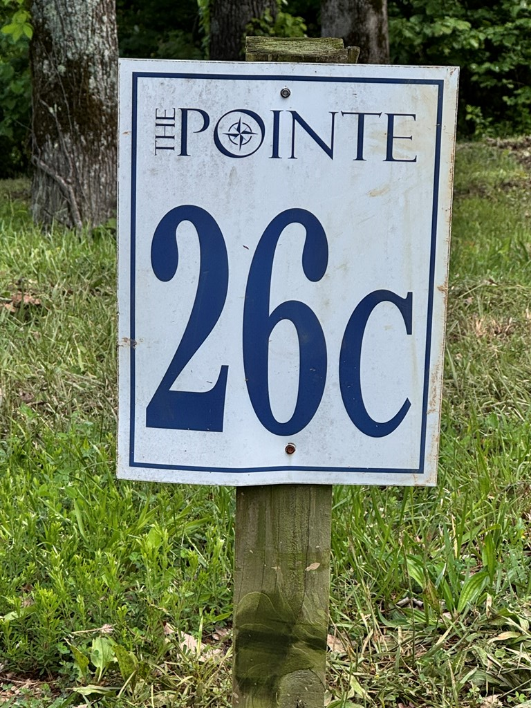 Lot 026C Rockfish Rd, Hilham, TN 38551 - Image #3