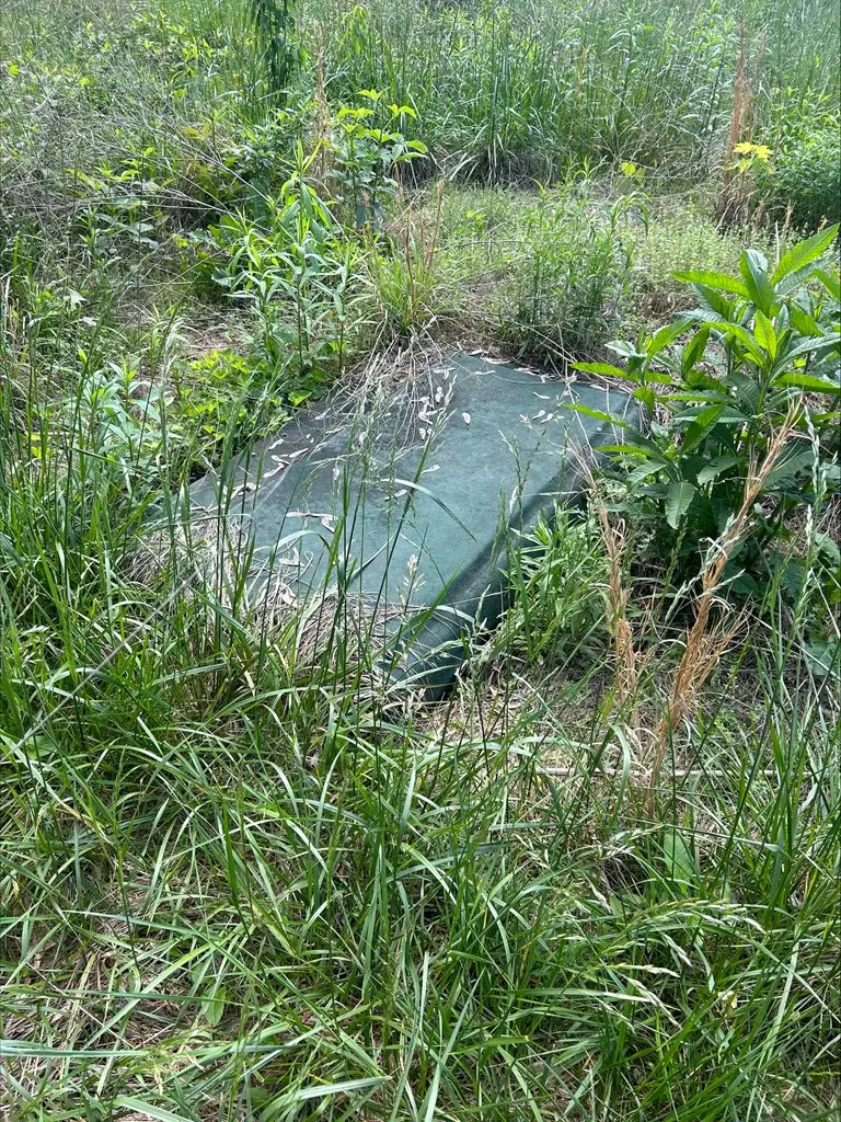 551 Limbo Lane, Livingston, TN 38570 - Image #3