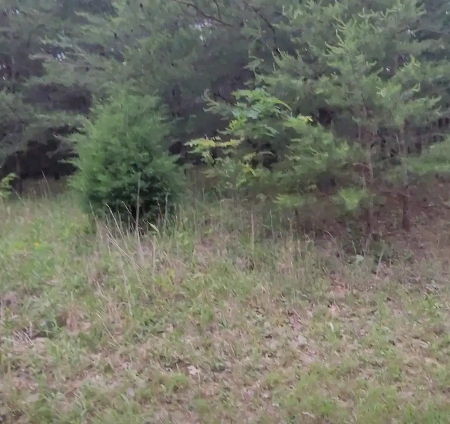 0 Palamino Way, Spencer, TN 38585 - Image #3