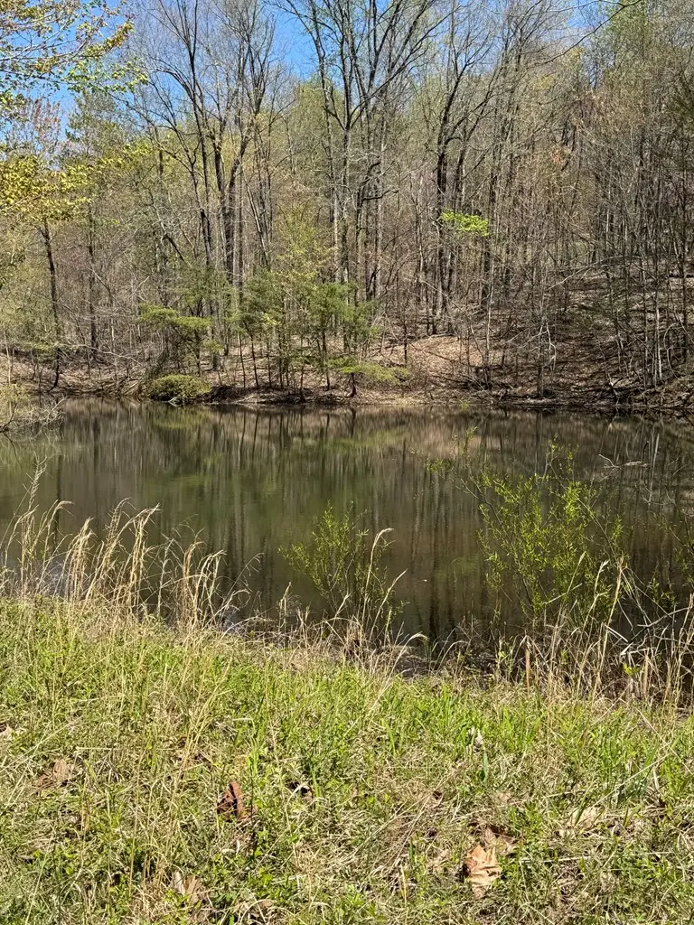 8111 White Oak Flatt Rd, Sparta, TN 38583 - Image #2