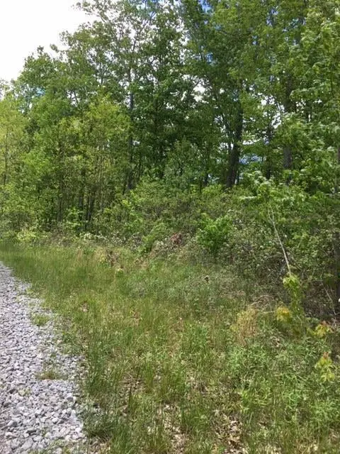Lot 239 Hood Lane, Wilder, TN 38589 - Image #2