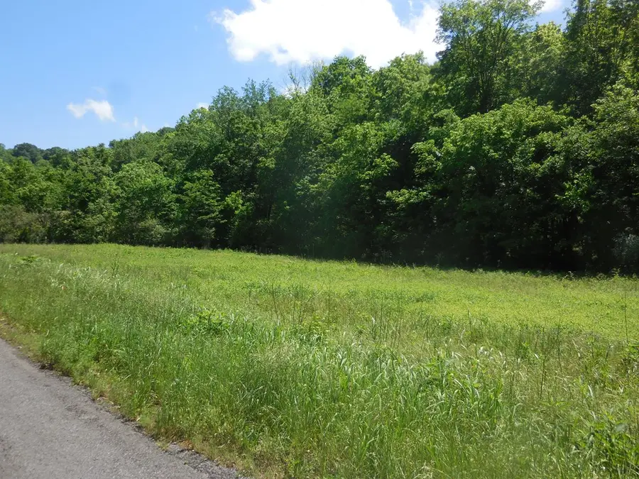 0 Hopkins Hollow, Gainesboro, TN 38562 - Image #3