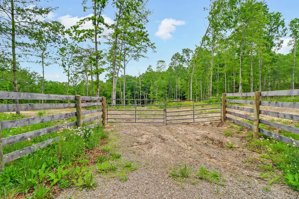 15.18ac Mt Helen Rd, Allardt, TN 38504 - Image #1