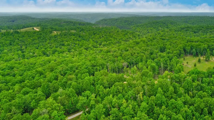 15.18ac Mt Helen Rd, Allardt, TN 38504 - Image #3