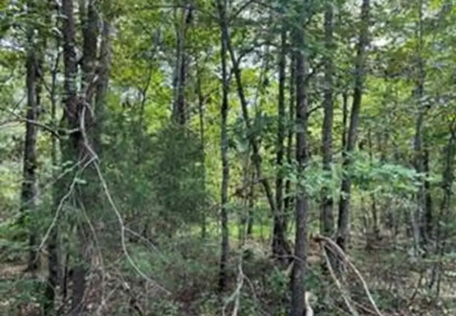 406 Wahoo Drive, Crossville, TN 38572 - Image #2