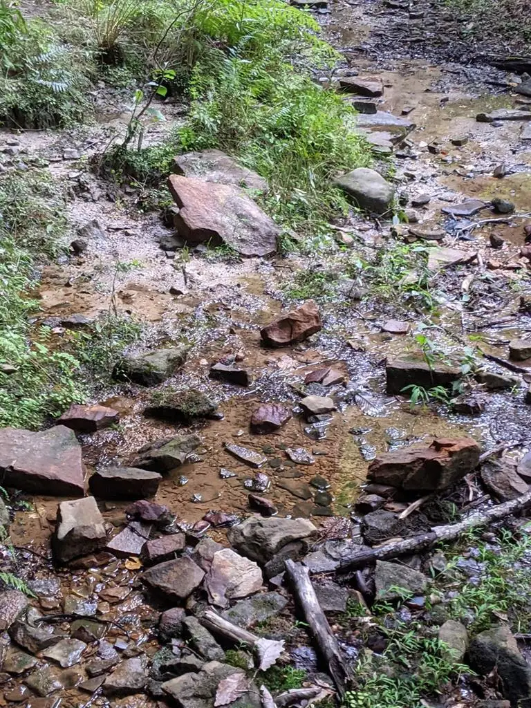 00 The Terrace, Crossville, TN 38555 - Image #2