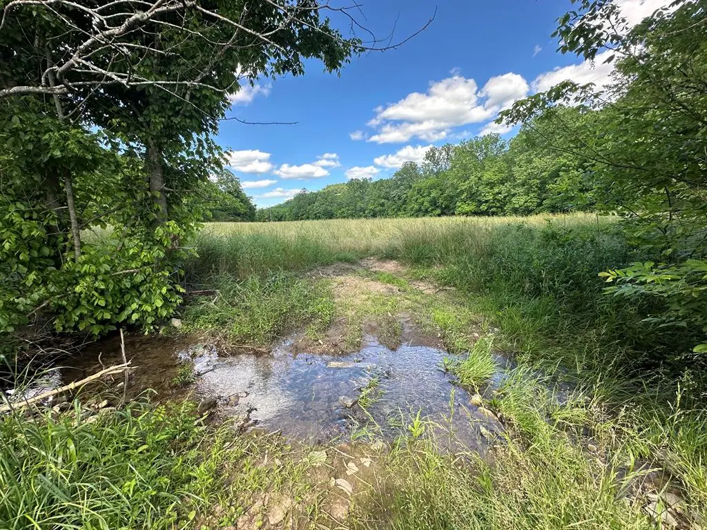 642 Club Springs Rd, Buffalo Valley, TN 38548 - Image #1