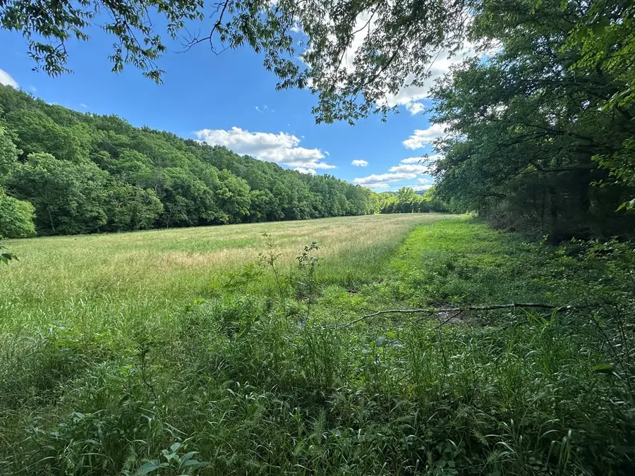 642 Club Springs Rd, Buffalo Valley, TN 38548 - Image #3