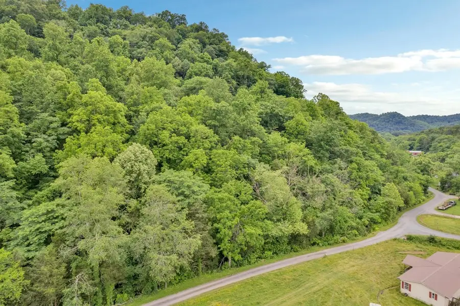 0 Hurrican Branch Rd, Gainesboro, TN 38562 - Image #3