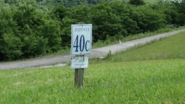 Lot 40C Swan Ridge Rd, Hilham, TN 38588 - Image #2