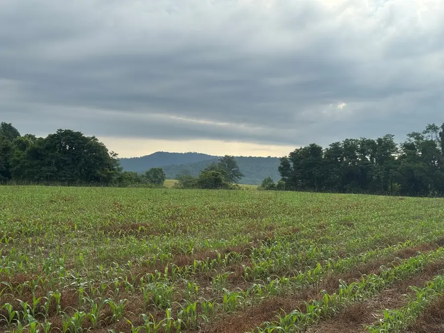 27.4 Acs N Hwy 111, Byrdstown, TN 38549 - Image #2