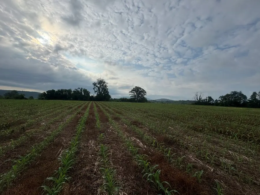 27.4 Acs N Hwy 111, Byrdstown, TN 38549 - Image #3