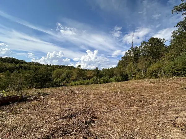 13.44 Ac Chestnut Ridge Rd, Allardt, TN 38504