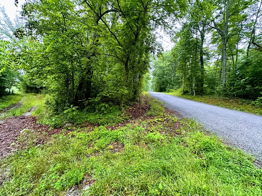 13.44 Ac Chestnut Ridge Rd, Allardt, TN 38504 - Image #2