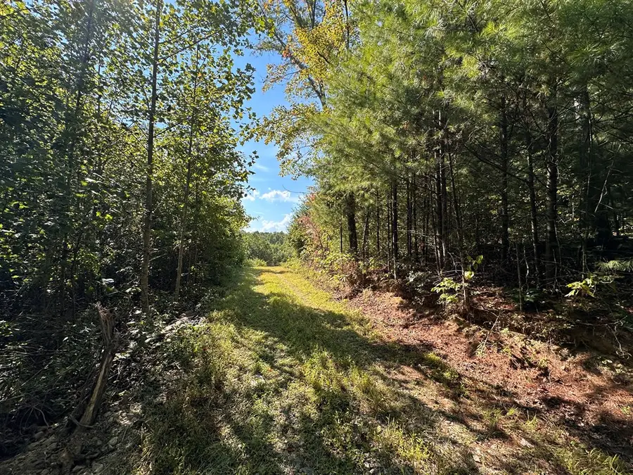13.44 Ac Chestnut Ridge Rd, Allardt, TN 38504 - Image #3
