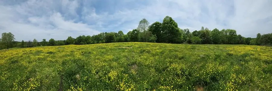 153 Davis Rd, Livingston, TN 38570 - Image #2