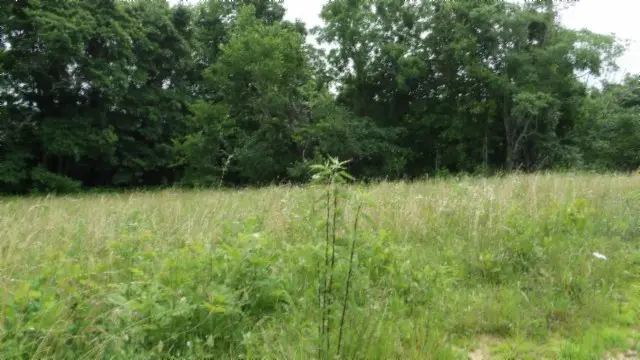 51.30ac Livingston Hwy, Byrdstown, TN 38549 - Image #2