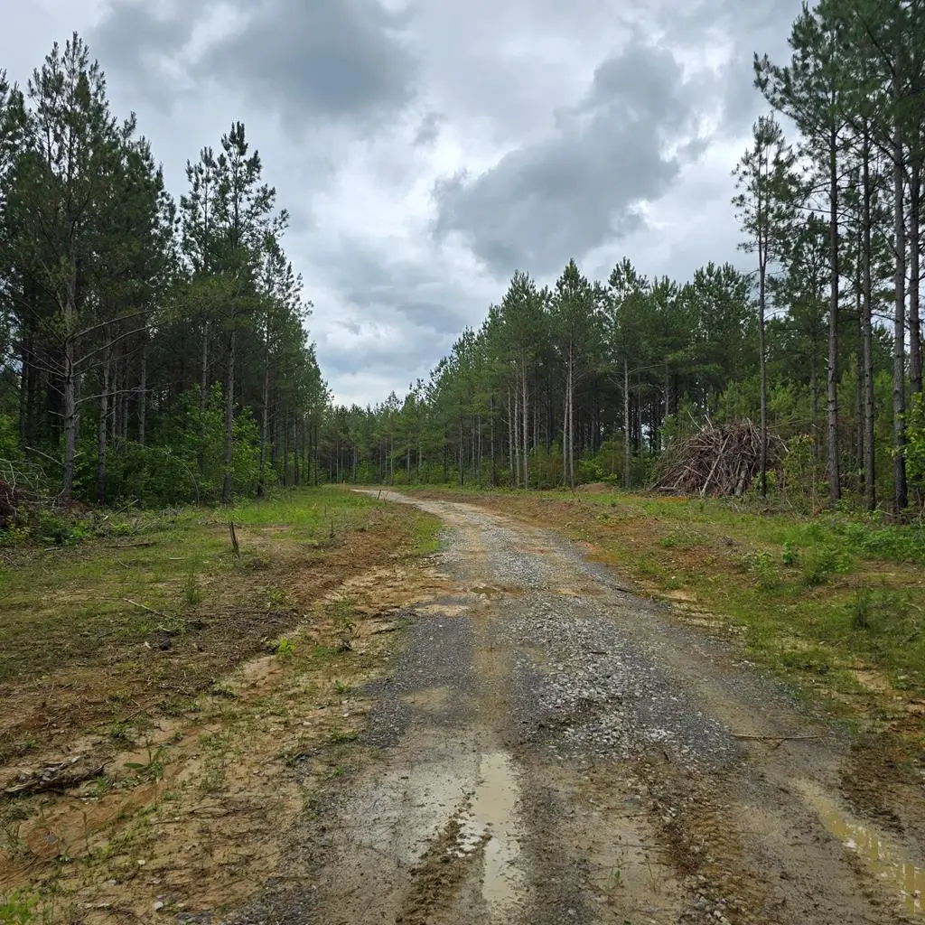 Lot 15 Holly Woods, Robbins, TN 38562 - Image #1